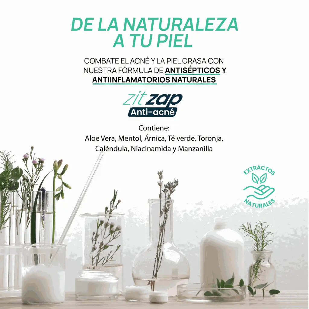 linea completa zitzap_ing nat.webp