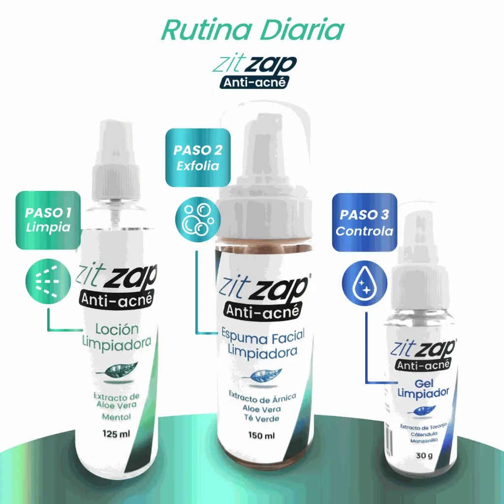 linea completa zitzap_caract.webp