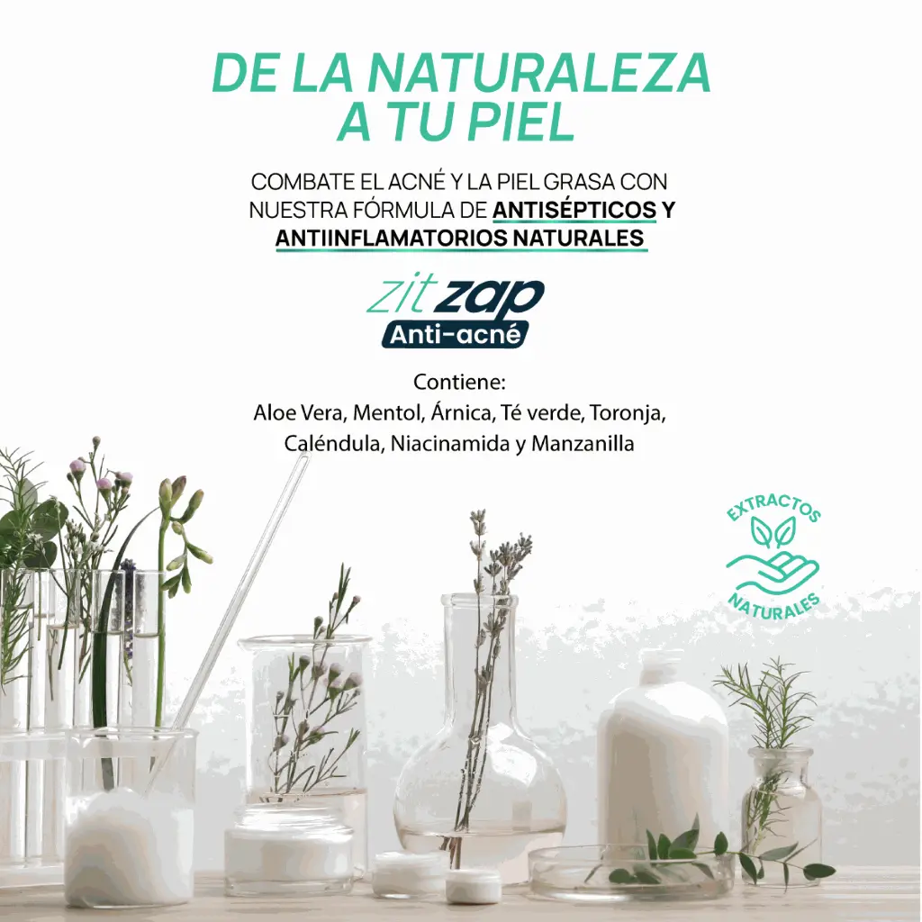 linea completa zitzap_ing nat.webp