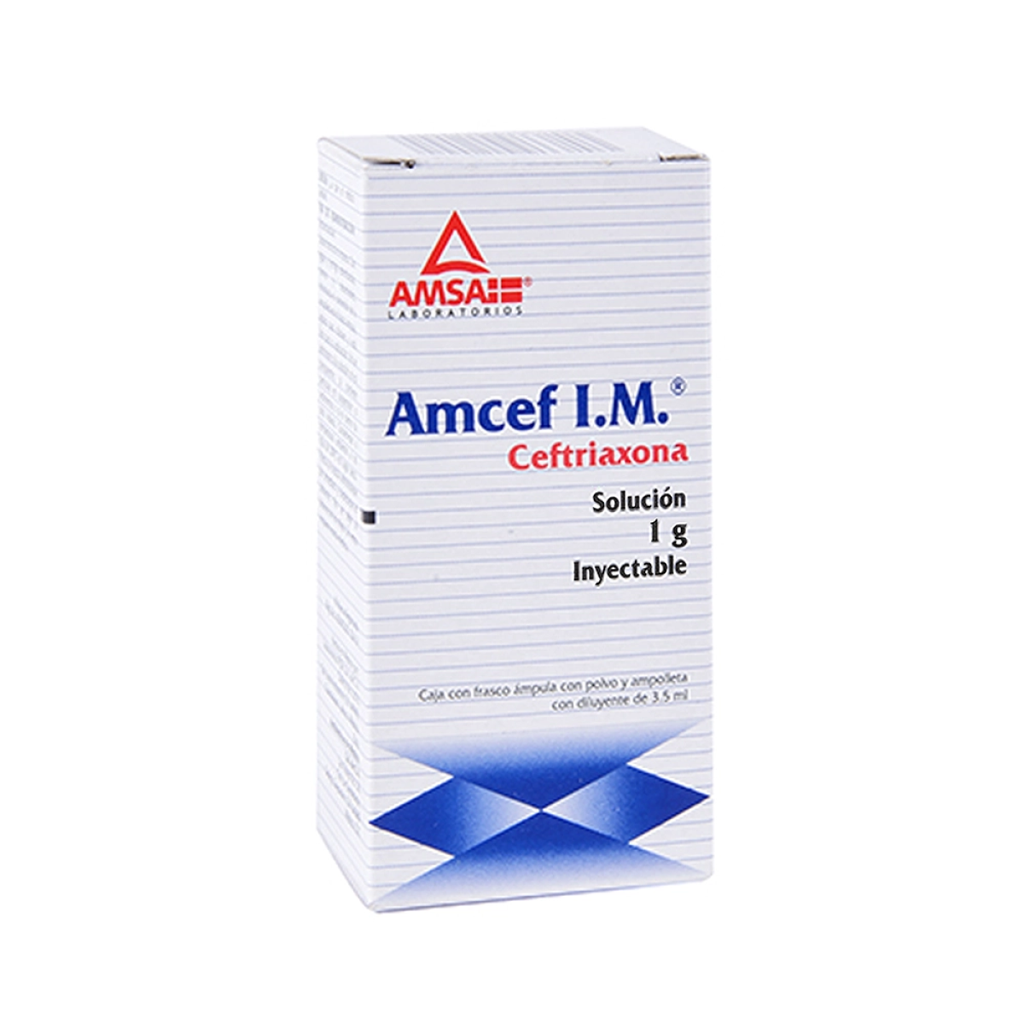 AMCEF I.M. 1 g/3.5 ml 1 Frasco Ámpula