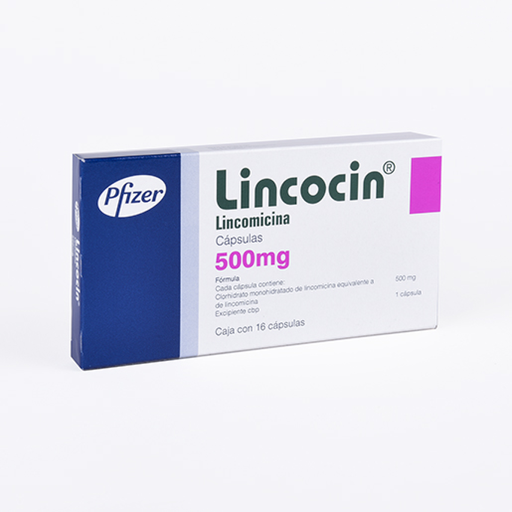 LINCOCIN 500 mg 16 Cápsula(s)