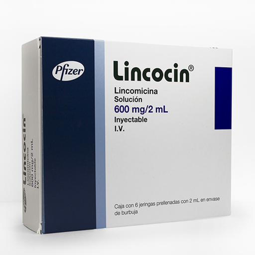 LINCOCIN 600 mg 6 Jeringa