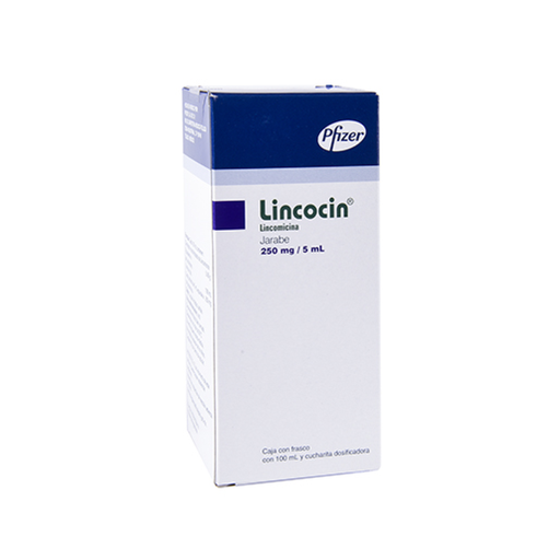 LINCOCIN 5 g 100 Mililitro