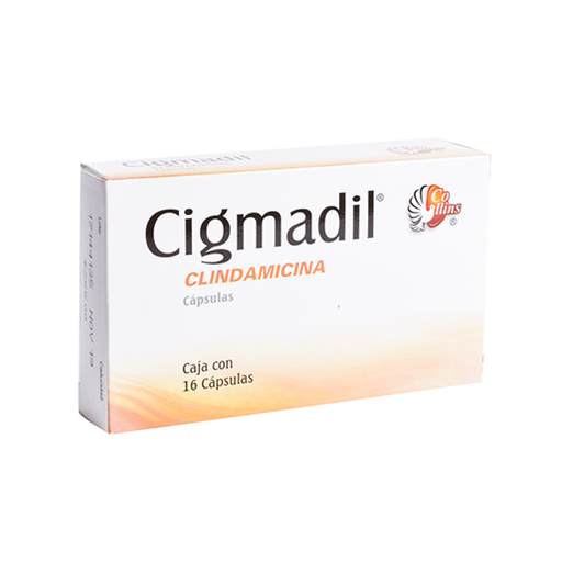 CIGMADIL 300 mg 16 Cápsula(s)
