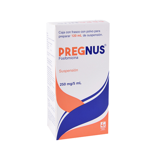 PREGNUS 250 mg 120 Mililitro