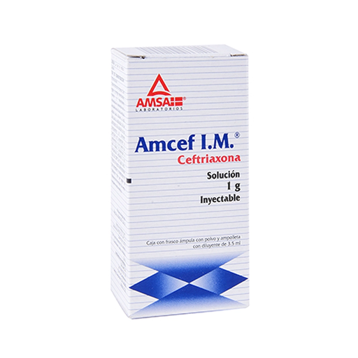 AMCEF I.M. 1 g/3.5 ml 1 Frasco Ámpula