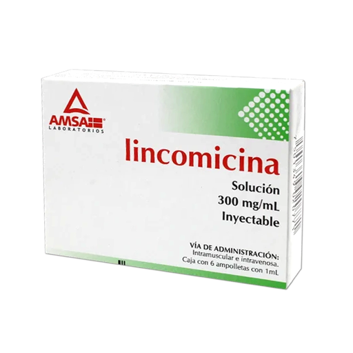 LINCOMICINA 300 mg 6 Ampolleta