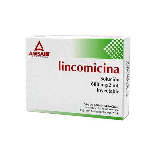 LINCOMICINA 600 mg 6 Ampolleta