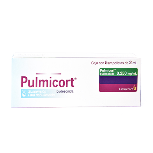 PULMICORT 0.250 mg/ml 5 Ampolleta