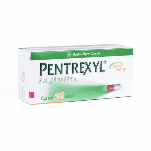 PENTREXYL 500 mg 28 Cápsula(s)